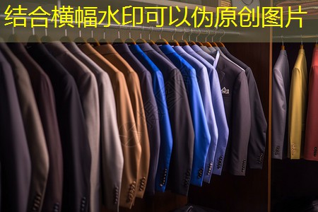 枫树桥新村绿化工程 枫树桥新村绿化工程